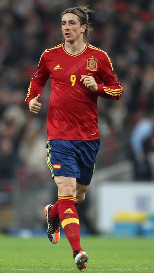 Torres scored the winning goal in the Euro 2008 final